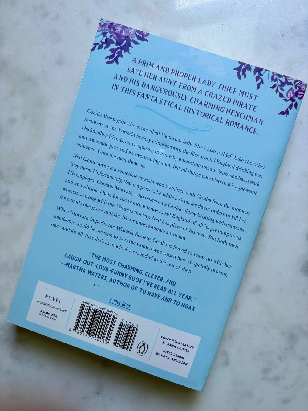 The Wisteria Society of Lady Scoundrels by India Holton Book